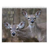 Rotwild-und der Elch-2015 Wandkalender - wild (Titelbild)