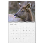 Rotwild-und der Elch-2015 Wandkalender - wild (Mär 2027)