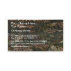 Rotwild-und Eber-Jagd durch Cranach D. Ä. Lucas