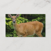 Rotwild-Visitenkarte Visitenkarte (Rückseite)