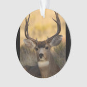 Rotwilddollar Ornament (Vorderseite)