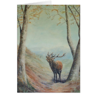 Rotwildhirsch, der in einem Hochland Glen. brüllt