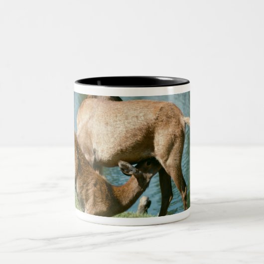 Rotwildkrankenpflegenachkommenschaft Zweifarbige Tasse (Mittel)