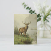 Rotwildmalerei Postkarte (Stehend Vorderseite)