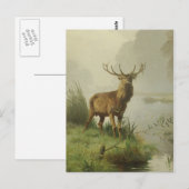 Rotwildmalerei Postkarte (Vorne/Hinten)