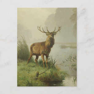 Rotwildmalerei Postkarte