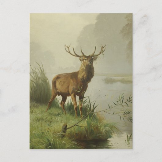 Rotwildmalerei Postkarte (Vorderseite)