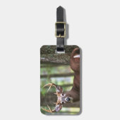 Rotwildtaschenumbaujäger-Taschenumbau Gepäckanhänger (Vorderseite vertikal)