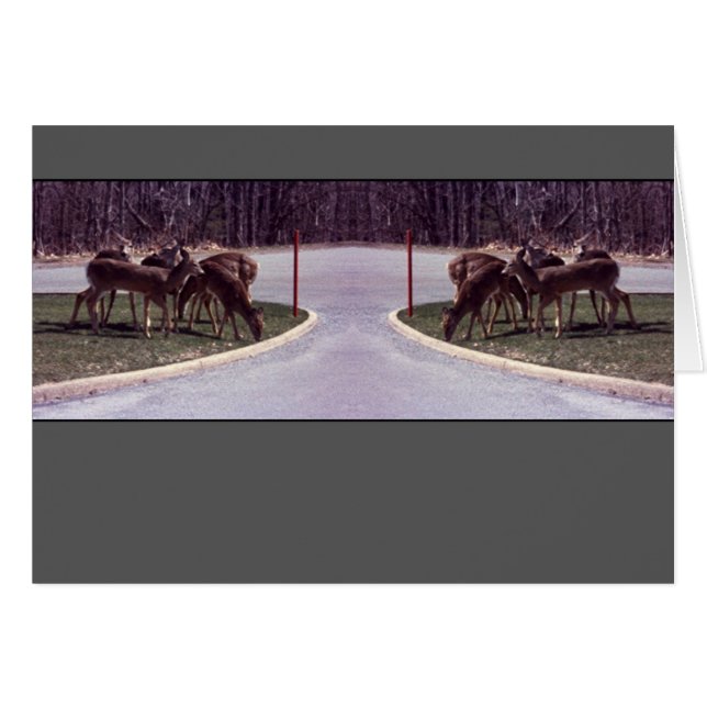 Rotwildüberfahrt - Karte (Vorderseite (Horizontal))