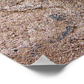 Rotziegel unter Graffiti-Zementmauer Poster (Ecke)