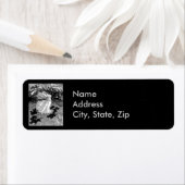 Rotzunge und schwarze Katzen im Mondschein (Insitu)