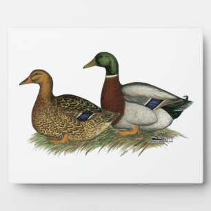 Rouen Ducks Fotoplatte