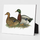 Rouen Ducks Fotoplatte (Seite)