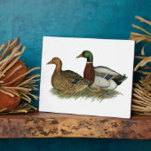 Rouen Ducks Fotoplatte (Seite)