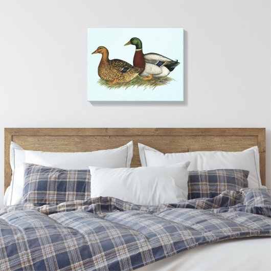 Rouen Ducks Leinwanddruck (Insitu (Schlafzimmer))