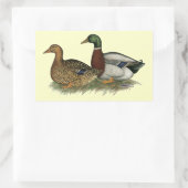 Rouen Ducks Rechteckiger Aufkleber (Tasche)