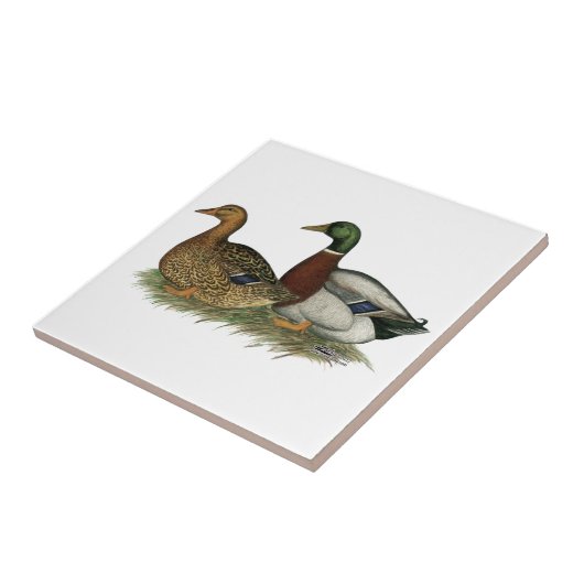 Rouen-Enten Fliese (Seite)