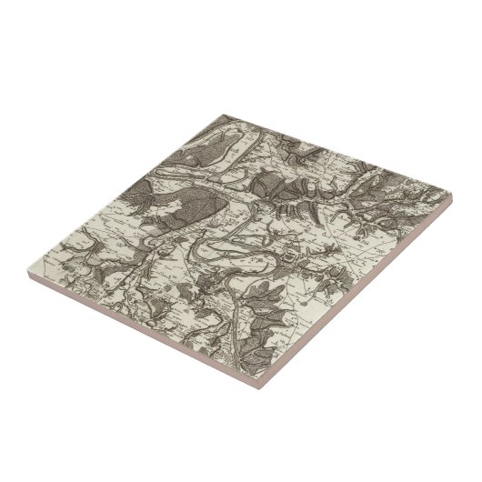 Rouen Fliese (Seite)