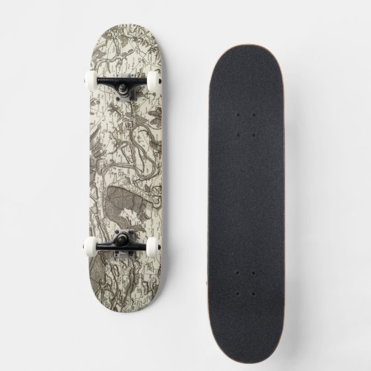 Rouen Skateboard (Vorderseite)