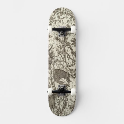 Rouen Skateboard (Vorderseite)