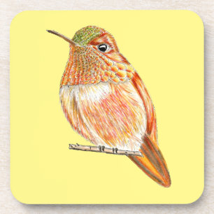 Roufus Hummingbird Perched Orange Illustration Getränkeuntersetzer