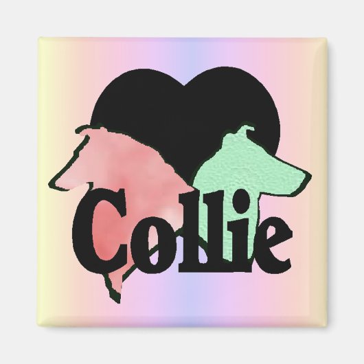 Rough and Smooth Collie Gips Magnet (Vorne)