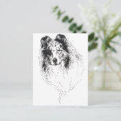 Rough Blue Merle Collie Postkarte (Stehend Vorderseite)