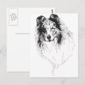 Rough Blue Merle Collie Postkarte (Vorne/Hinten)