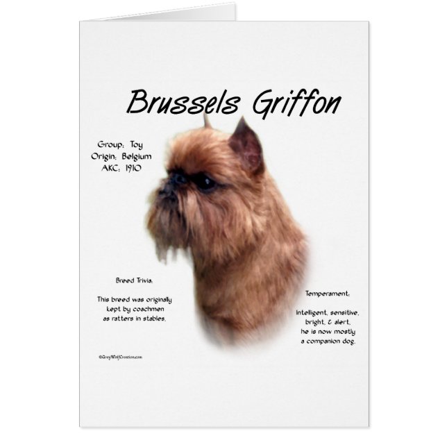 Rough Brussels Griffon History (Vorne)