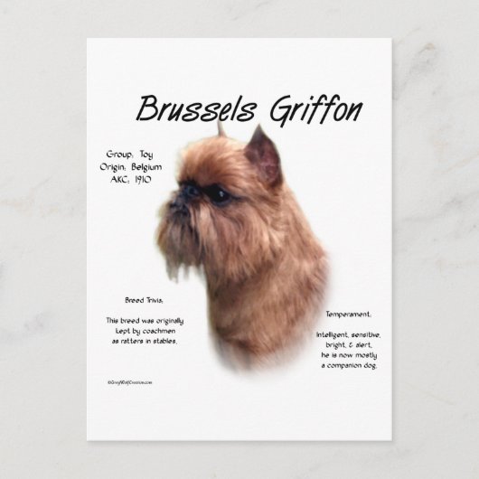 Rough Brussels Griffon History Postkarte (Vorderseite)