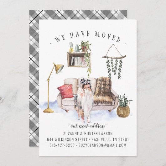 Rough Collie | Ankündigung der Beförderung (Vorne/Hinten)