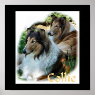 Rough Collie Art Gaben Poster