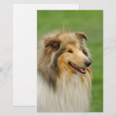 Rough Collie Briefpapier (Vorne/Hinten)