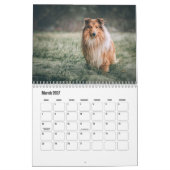 Rough Collie Calendar Kalender (Mär 2027)