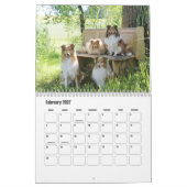 Rough Collie Calendar Kalender (Feb 2027)