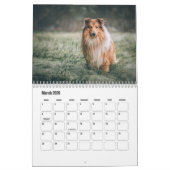 Rough Collie Calendar Kalender (Mär 2026)
