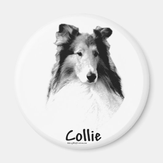 Rough Collie Charcoal Magnet (Vorne)