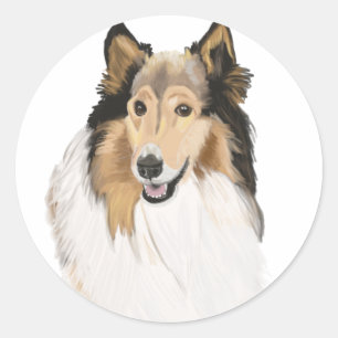 Rough Collie, Collie-Portrait, lang haarig Runder Aufkleber