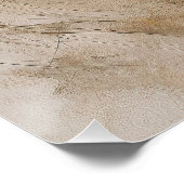 Rough Collie Dog im Wind 2004 - Yacobsen Derosa Poster (Ecke)