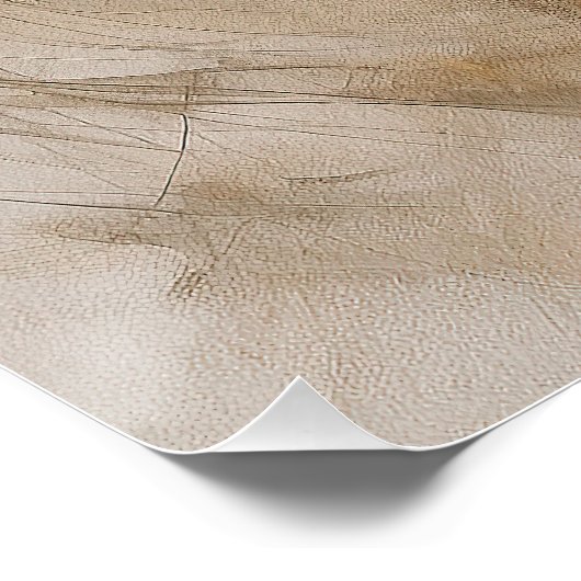 Rough Collie Dog im Wind 2004 - Yacobsen Derosa Poster (Ecke)