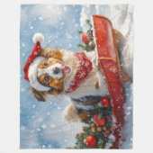 Rough Collie Dog in Sledge Let it Snow Christmas Fleecedecke (Vorderseite)