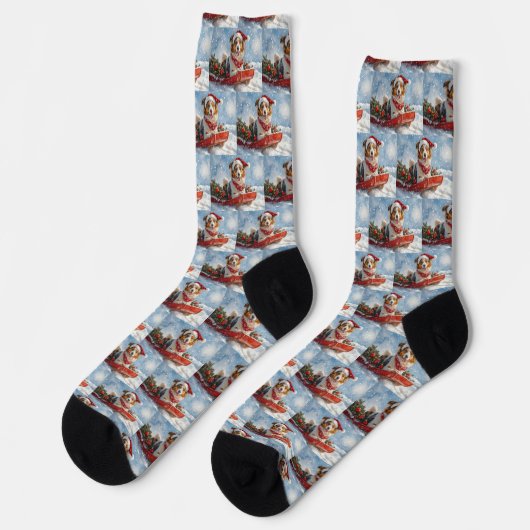 Rough Collie Dog in Sledge Let it Snow Christmas Socken (Linkes Detail)