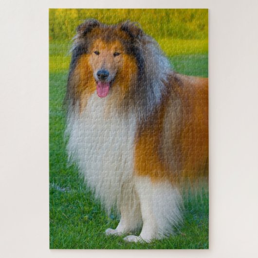 Rough Collie Dog Jigsaws. Puzzle (Vertikal)