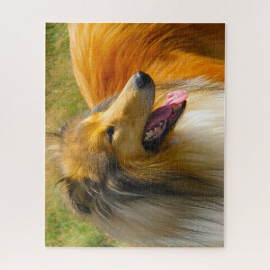 Rough Collie Dog Jigsaws. Puzzle (Vertikal)