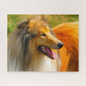 Rough Collie Dog Jigsaws. Puzzle (Horizontal)