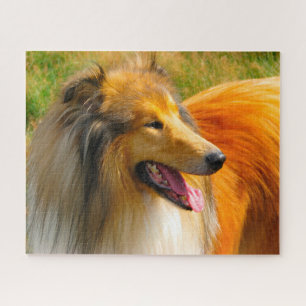 Rough Collie Dog Jigsaws. Puzzle