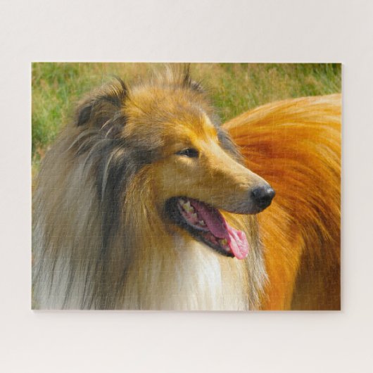 Rough Collie Dog Jigsaws. Puzzle (Horizontal)