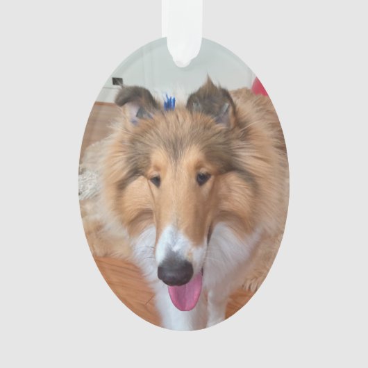 Rough Collie Dog Ornament (Vorderseite)