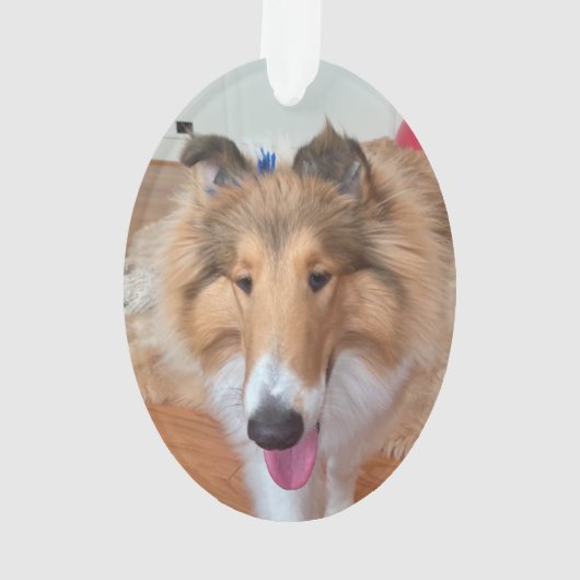 Rough Collie Dog Ornament (Rückseite)