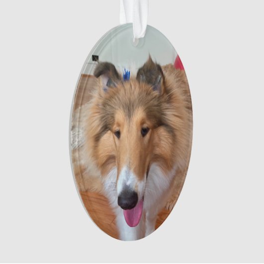 Rough Collie Dog Ornament (Vorderseite)